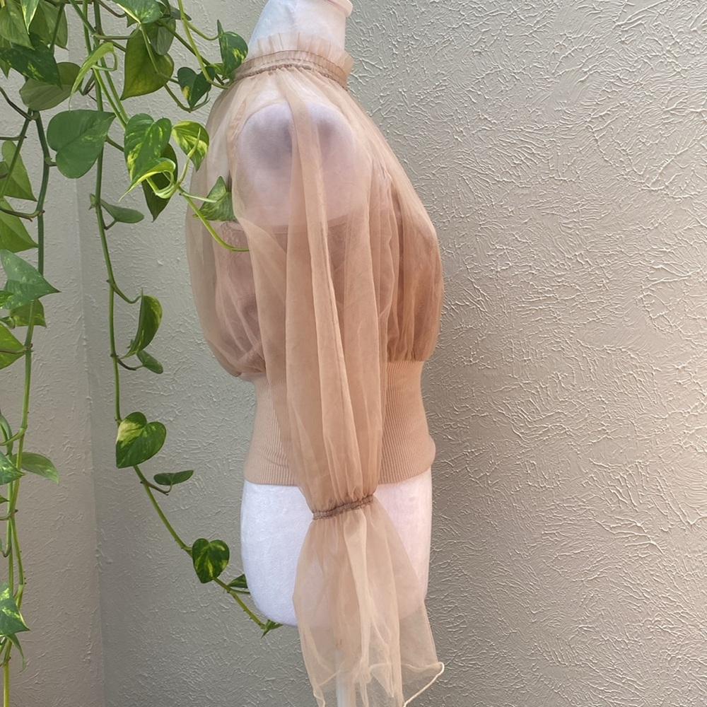 Lily Brown Mesh Elegant Sheer Tan Blouse, Light Brown Blouse,Strapless Blouse - Picture 5 of 12